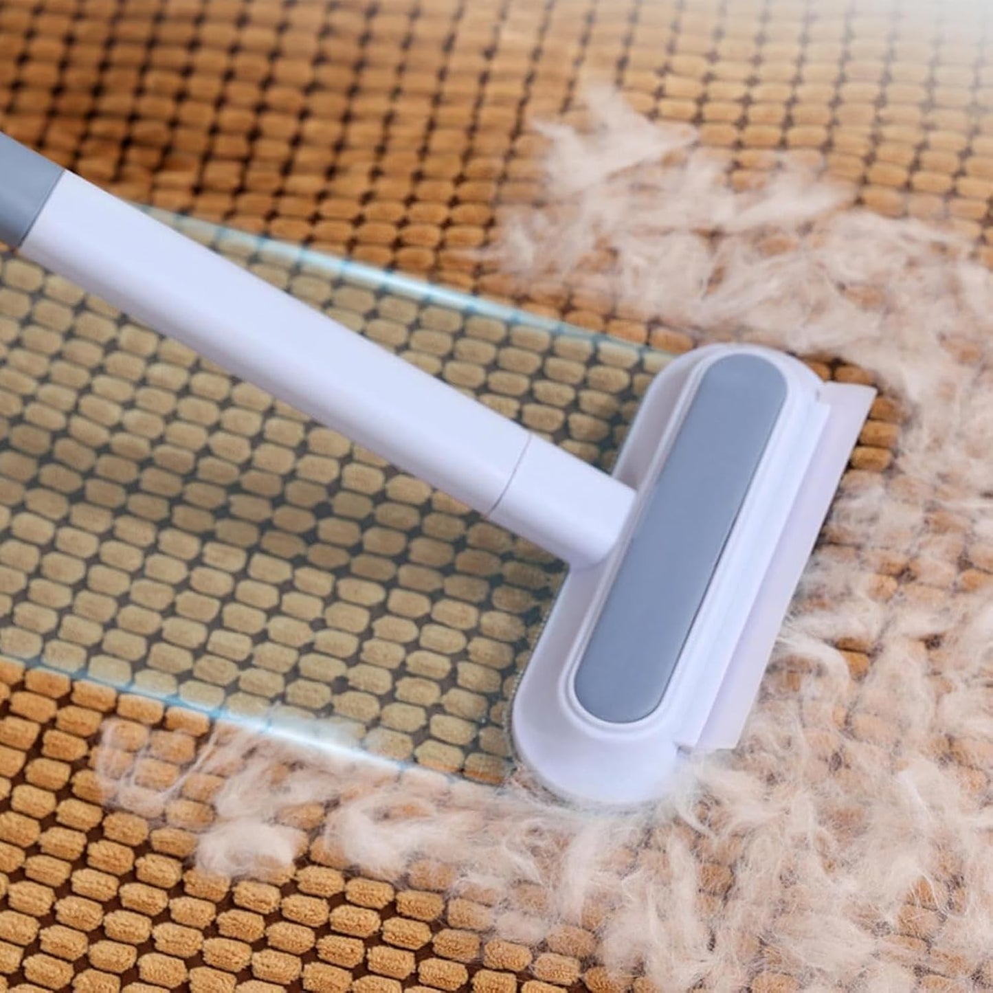 Brosse Anti-poils